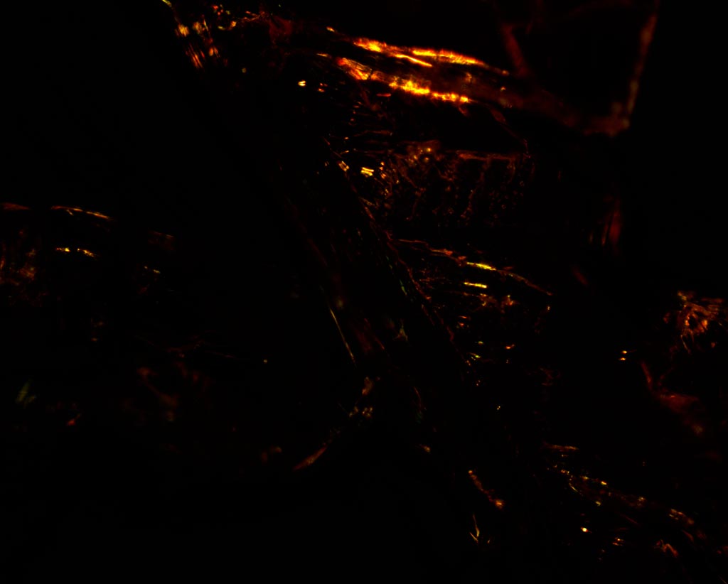 potassium ferricyanide crystals 10x BD with crossed polarizers in brightfield